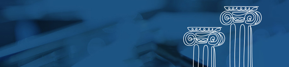 Local Government Representation